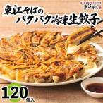 東江そばのバクバク冷凍生餃子 120個入