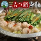焼肉大臣特製もつ鍋 2~3人前 N066-YZA573