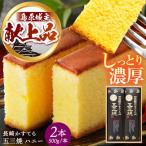 長崎カステラ 五三焼 ハニー 500g×2本