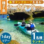 n117 シー カヤック 1day ツアー 1名様分