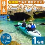 n118 シーカヤック半日ツアー 1名様分