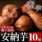 安納芋 Sサイズ 10kg