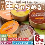n018 生キャラメル 詰め合わせ 6種