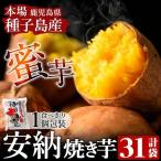 冷凍 焼き芋 31袋