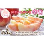 ふるさと納税 【2026年�