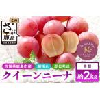 ふるさと納税 ふるさと納税】【先行予約】朝採れクイーンニーナ 約2kg 3?4房【2025年8月下旬?9月下旬配送予定】朝採れ即日発送!ジューシーで高.. 佐賀県鹿島市