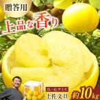 \果樹園直送 品 土佐文旦 約10kg