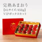 ★希少4Lサイズ 450g