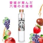 道後ジン 六媛 クラフトジン スピリッツ ボタニカル 200ml