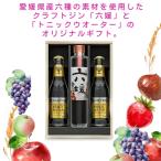 道後ジン 六媛 トニックセット G6-200