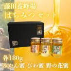 3種のはちみつ食べ比べセット B37