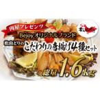 松山どりのこだわりの唐揚4種 400g×4パック