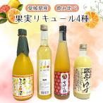 果実系リキュール 飲み比べ 4本セット C26