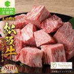 松阪牛赤身ブロック 400g×2P