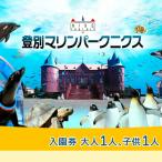 登別マリンパークニクス 入園券 大人 子供 各1名