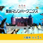 登別マリンパークニクス 入園券 大人1名