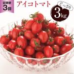 BG138 全国にファンがいる高級フルーツトマト
