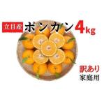 訳ありポンカン 4kg