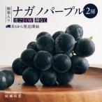 ナガノパープル 2房 共通返礼品 :結城市産