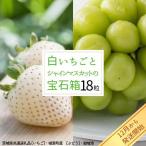 白いちご と シャインマスカットの宝石箱 18粒