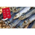 特上品 うるめ いわし 500g