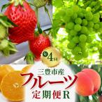の厳選フルーツ定期便R 年4回