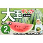 ショッピングスイカ ふるさと納税 茨城県産大玉すいか2玉セット（約5〜7kg/玉）【2024年6月上旬〜7月上旬ごろ発送予定】【 スイカ 下妻スイカ 茨城県スイカ 人気スイ.. 茨城県下妻市