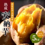 農家直送 熟成安納いも5kg_K30_0001_2