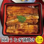 SD0064 うなぎ蒲焼 2人前