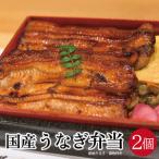 SD0065 うなぎ弁当 1人前×2個
