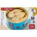 サバ缶 水煮 12缶