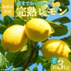 完熟 レモン 3kg