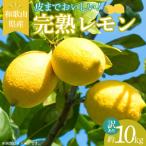 完熟 レモン 10kg