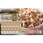 ふるさと納税 FYN9-669 