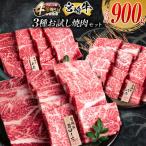 宮崎牛 3種 お試し 焼肉 セット