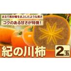 紀の川柿 2玉入