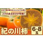 紀の川柿 6-8玉入 約1.8kg