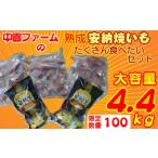 種子島 冷凍 安納焼いも 中園ファーム 計4.4kg