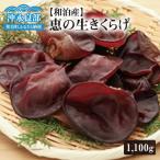 ■地の利を生かした沖永良部産 恵の生きくらげ