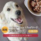 3種セット 中型犬用のゆで鹿肉 鹿の骨のスープ