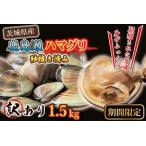 ふるさと納税 期間限定 鹿島灘 ハマグリ 訳あり 1.5kg 砂抜き済み はまぐり 蛤 わけあり 国産 天然 茨城県産 鹿島灘産 焼き蛤 BBQ おせち お雑煮.. 茨城県大洗町