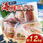 鮮魚セット 1.2kg