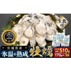 ふるさと納税 牡蠣 生食用 170g×3袋 (510g) 氷温熟成 冷凍牡蠣 むき身 宮城県産 牡蠣 牡蠣 牡蠣 牡蠣 牡蠣 牡蠣 まるたか水産 宮城県石巻市