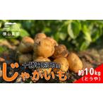 じゃがいも 約10kg