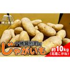 じゃがいも 約10kg