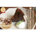 R7-723G.S1 5定番の焼き菓子*ガトーショコラ15cm
