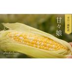 プレミアムとうもろこし 甘々娘 10本入
