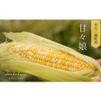 プレミアムとうもろこし 甘々娘 20本入