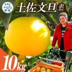 訳あり 土佐文旦 10kg
