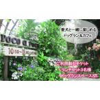 ふるさと納税  愛犬と楽しめるドッグランカフェ「ランチ3名様と広さ150坪のドッグランスペース2匹以上可能 愛犬用プリン」ご利用チケット 岡山県.. 岡山県倉敷市